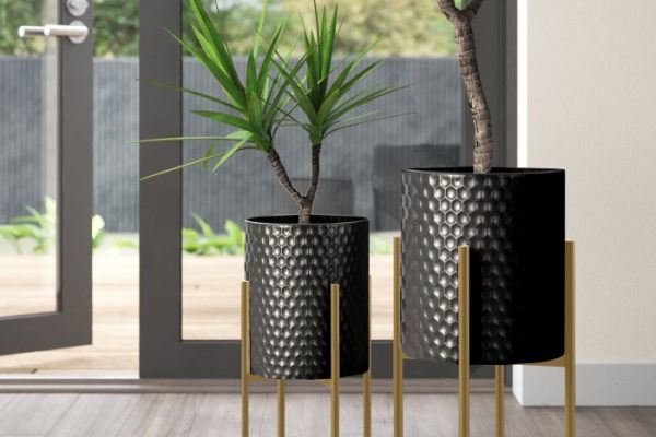 Large plant pots for trees