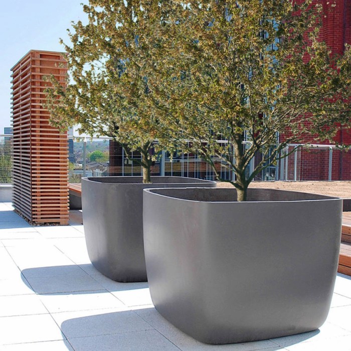 Large plant pots for trees